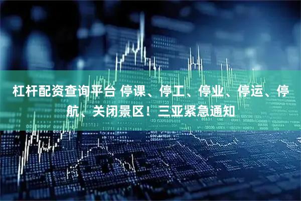 杠杆配资查询平台 停课、停工、停业、停运、停航、关闭景区！三亚紧急通知