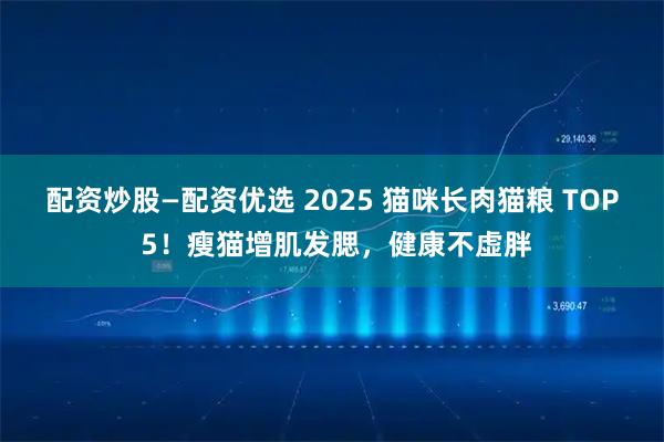 配资炒股—配资优选 2025 猫咪长肉猫粮 TOP 5！瘦猫增肌发腮，健康不虚胖