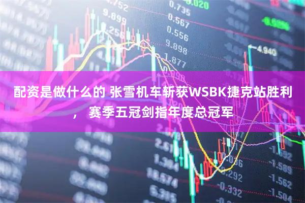 配资是做什么的 张雪机车斩获WSBK捷克站胜利， 赛季五冠剑指年度总冠军